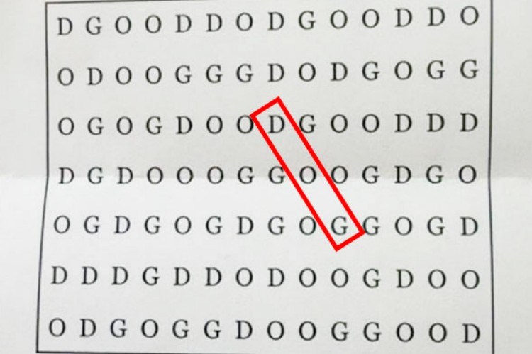 can you solve this crazy difficult word search and find the dog