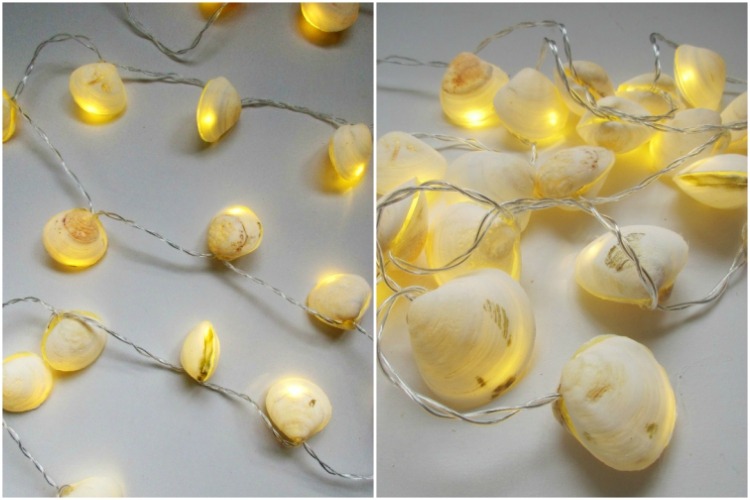 15 Creative Ways To Use Seashells At Home