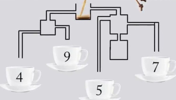 11 Logic Puzzles That Will Work Your Brain and Increase Your IQ
