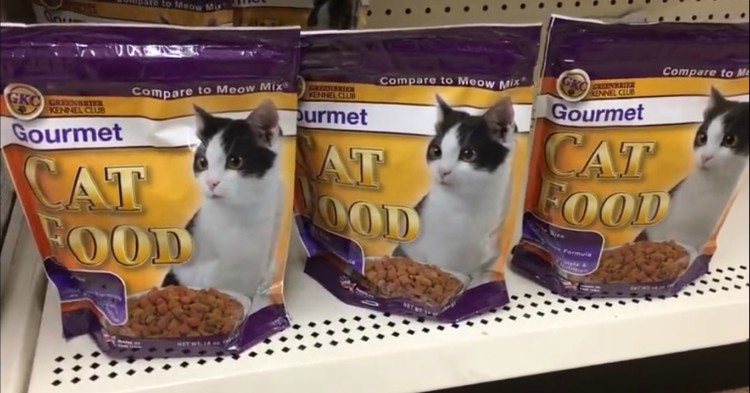 pet food