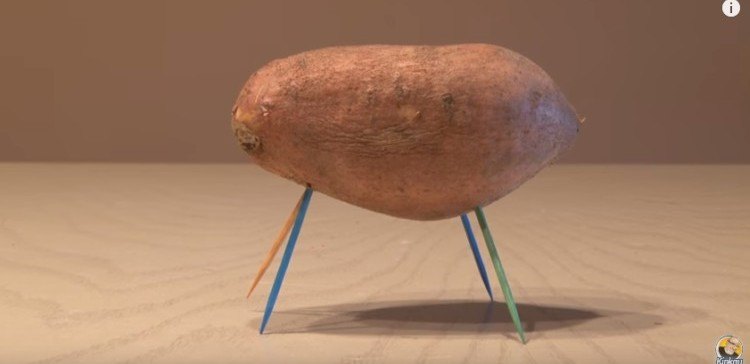 Toothpick Secrets You Never Knew Could Change Your Smile