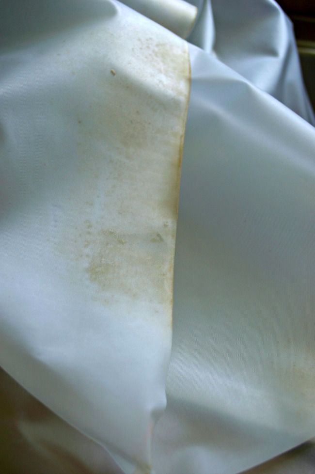 Stop Replacing Your Shower Curtain! You Can Clean the This Easy Way