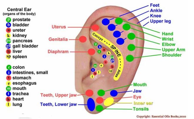 Ear Pressure Points Chart