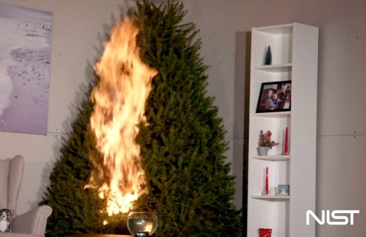 What Are The Three Types Of Burns