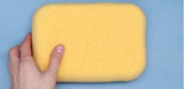 sponge soap dish