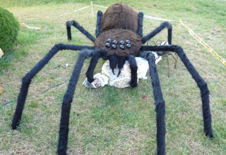 big spider decoration