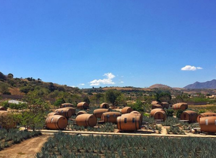 This Hotel in Mexico Lets You Sleep in Giant Tequila Barrels