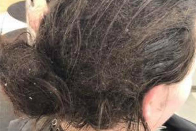 Stylist Goes Above and Beyond for Woman Who Hadn’t Washed or Combed Her