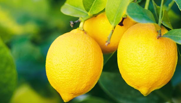 புதுக்கோட்டை மாவட்டத்தில் எலுமிச்சம் பழம் விலை அதிகரிப்பு