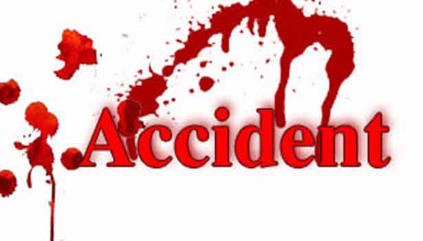 ஜெயங்கொண்டம் அருகே பஸ்–லாரியின் இடையே சிக்கி 14 மாடுகள் பலி