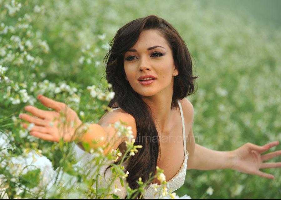 ஏமி ஜாக்சன்