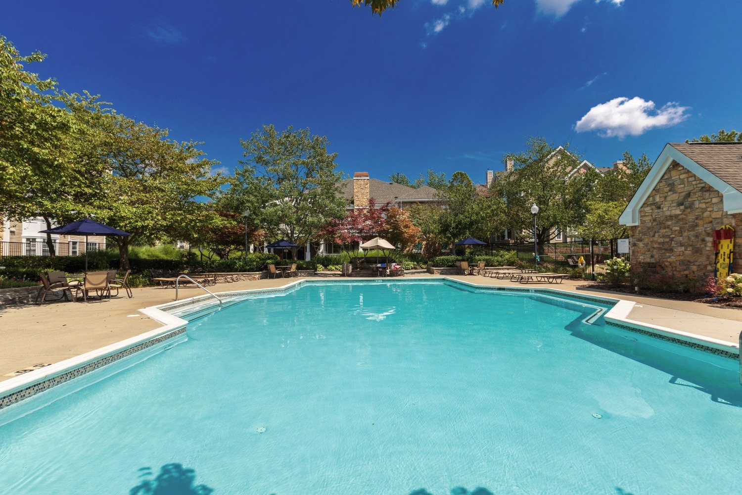 Cascades Overlook Luxury Apartments for Rent in Sterling, VA