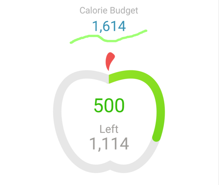 planning weight calories mynetdiary