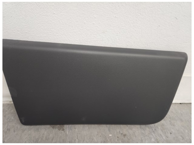 2014 Dodge Ram 1500 Outside Door Molding 