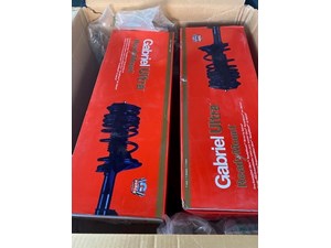 2017 Ford Expedition Strut