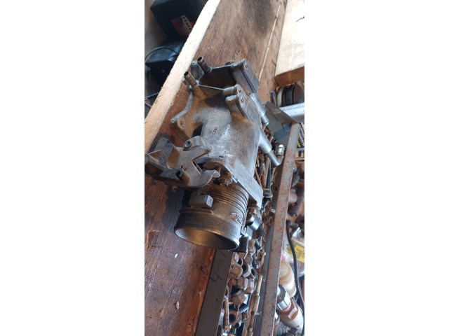 Wire driven throttle body w/cable 