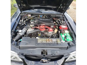 302 sbf/sn95 performance parts