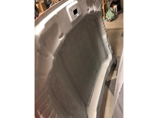 Custom Composite Low Rise Mustang Hood