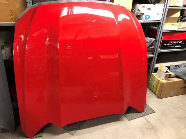 Custom Composite Low Rise Mustang Hood