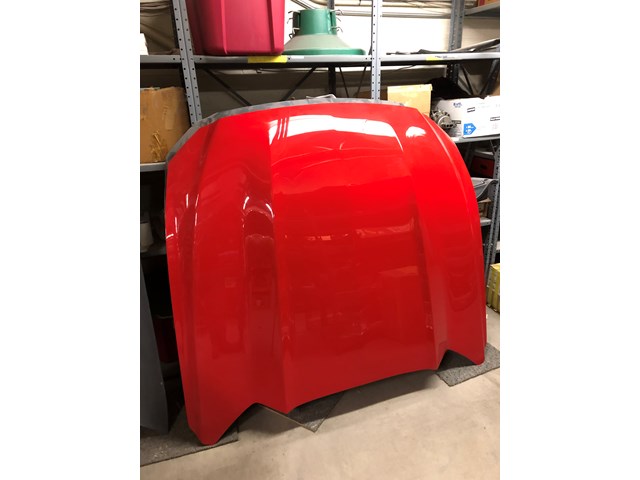 Custom Composite Low Rise Mustang Hood