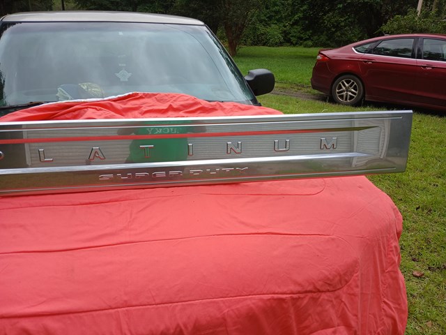 2020 Ford F250 Tailgate Moulding