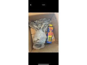 2016 Kia Soul Catalytic Converter