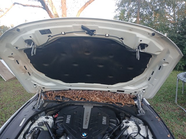 2014 BMW 750Li Engine