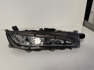 2020 Lexus RX 350 Fog Light