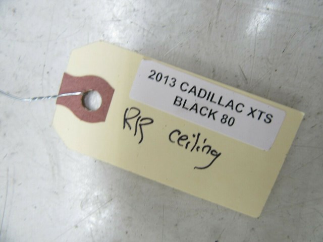 2013-2017 CADILLAC XTS OEM RIGHT REAR PASSENGER SIDE DOME LIGHT 22876433