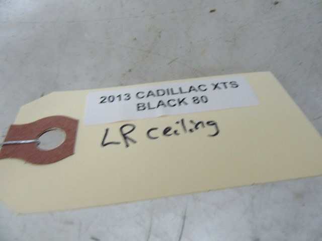 2013-2017 CADILLAC XTS OEM LEFT REAR DRIVER SIDE DOME LIGHT 22876433