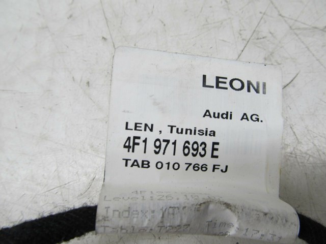 2005-2008 AUDI A6 C6 OEM LEFT REAR DOOR PANEL WIRING HARNESS 