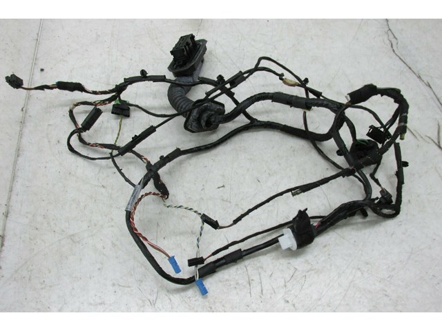 2007-2010 BMW X5 E70 OEM RIGHT FRONT DOOR WIRE HARNESS 