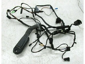 2007-2010 BMW X5 E70 OEM RIGHT FRONT DOOR WIRE HARNESS 