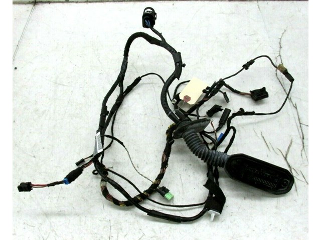 2007-2010 BMW X5 E70 OEM LEFT FRONT DOOR WIRE HARNESS 