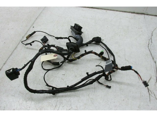 2007-2010 BMW X5 E70 OEM LEFT FRONT DOOR WIRE HARNESS 