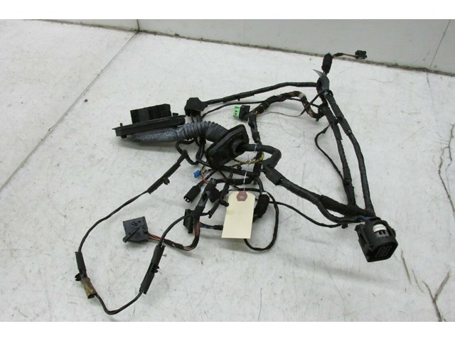 2007-2010 BMW X5 E70 OEM LEFT FRONT DOOR WIRE HARNESS 