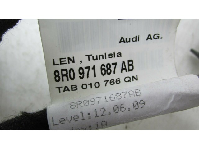 2009-2012 AUDI Q5 8R OEM LEFT REAR DRIVER SIDE DOOR WIRE HARNESS  