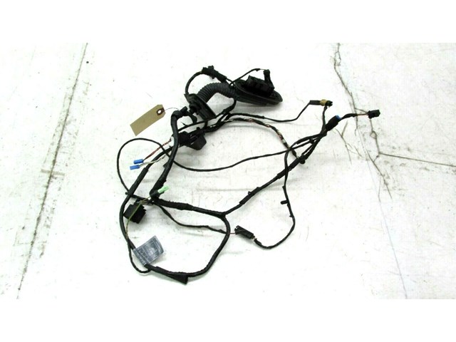  2007-2010 BMW X5 E70 OEM RIGHT FRONT PASSENGER DOOR WIRE HARNESS  