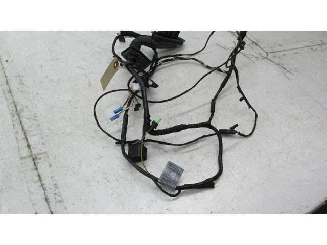  2007-2010 BMW X5 E70 OEM RIGHT FRONT PASSENGER DOOR WIRE HARNESS  