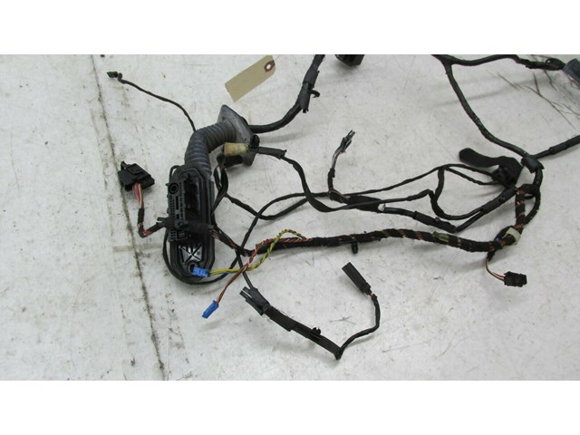 2007-2010 BMW X5 E70 OEM LEFT FRONT DRIVER DOOR WIRE HARNESS  