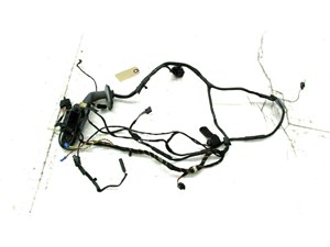  2007-2010 BMW X5 E70 OEM LEFT FRONT DRIVER DOOR WIRE HARNESS  