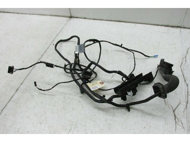2007-2010 BMW X5 E70 OEM LEFT REAR DOOR WIRE HARNESS 