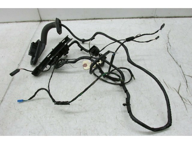 2007-2010 BMW X5 E70 OEM LEFT REAR DOOR WIRE HARNESS 