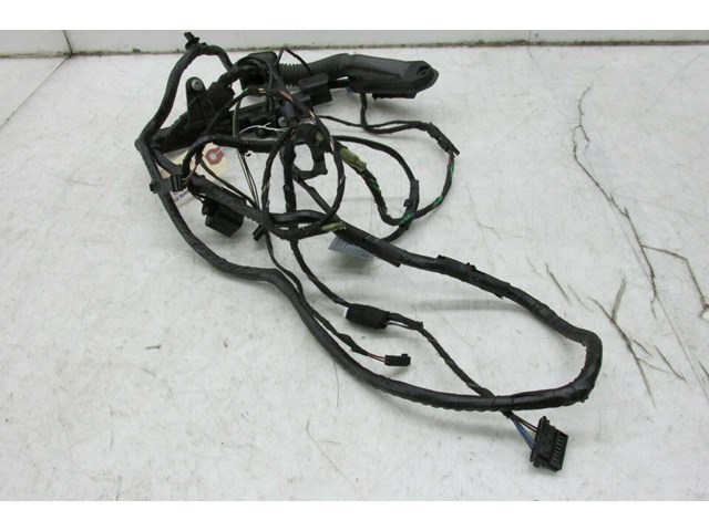 2007-2010 BMW X5 E70 OEM LEFT REAR DOOR WIRE HARNESS 