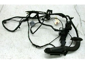 2007-2010 BMW X5 E70 OEM LEFT REAR DOOR WIRE HARNESS 