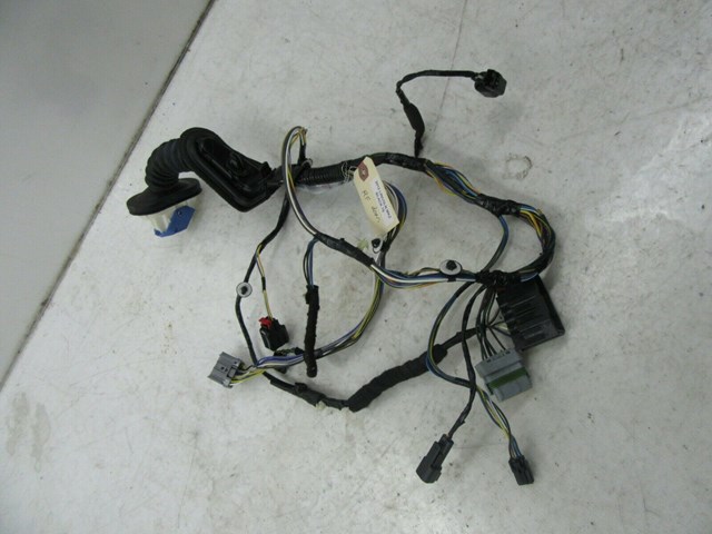 2010-2012 LINCOLN MKZ OEM RIGHT FRONT PASSENGER SIDE DOOR WIRE HARNESS 