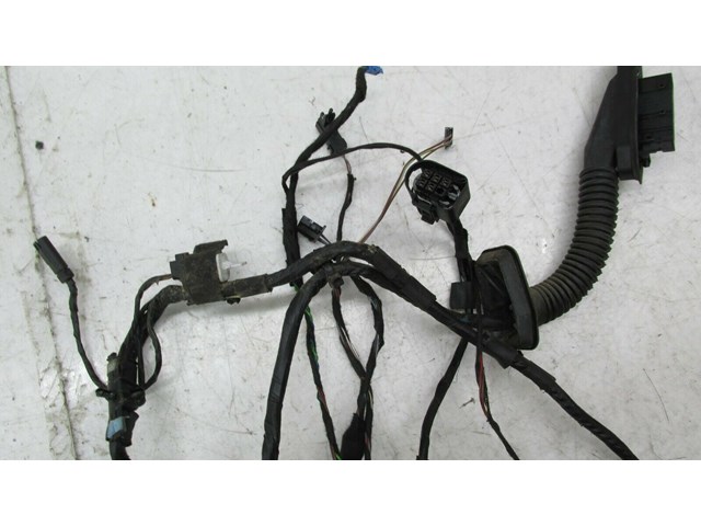  2007-2010 BMW X5 E70 OEM LEFT REAR DRIVER SIDE DOOR WIRE HARNESS  