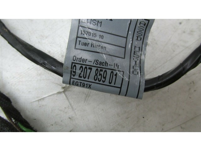  2007-2010 BMW X5 E70 OEM LEFT REAR DRIVER SIDE DOOR WIRE HARNESS  