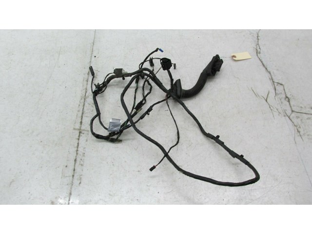  2007-2010 BMW X5 E70 OEM LEFT REAR DRIVER SIDE DOOR WIRE HARNESS  