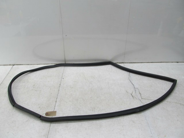 2003-2004 LAND ROVER DISCOVERY OEM RIGHT REAR DOOR BODY WEATHER STRIP SEAL 